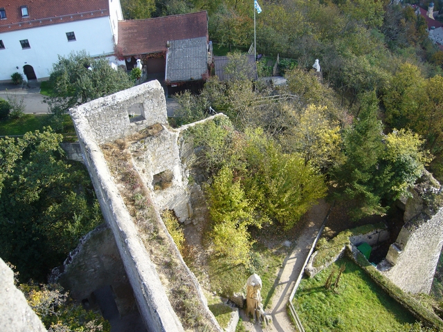 n_P1010554.jpg